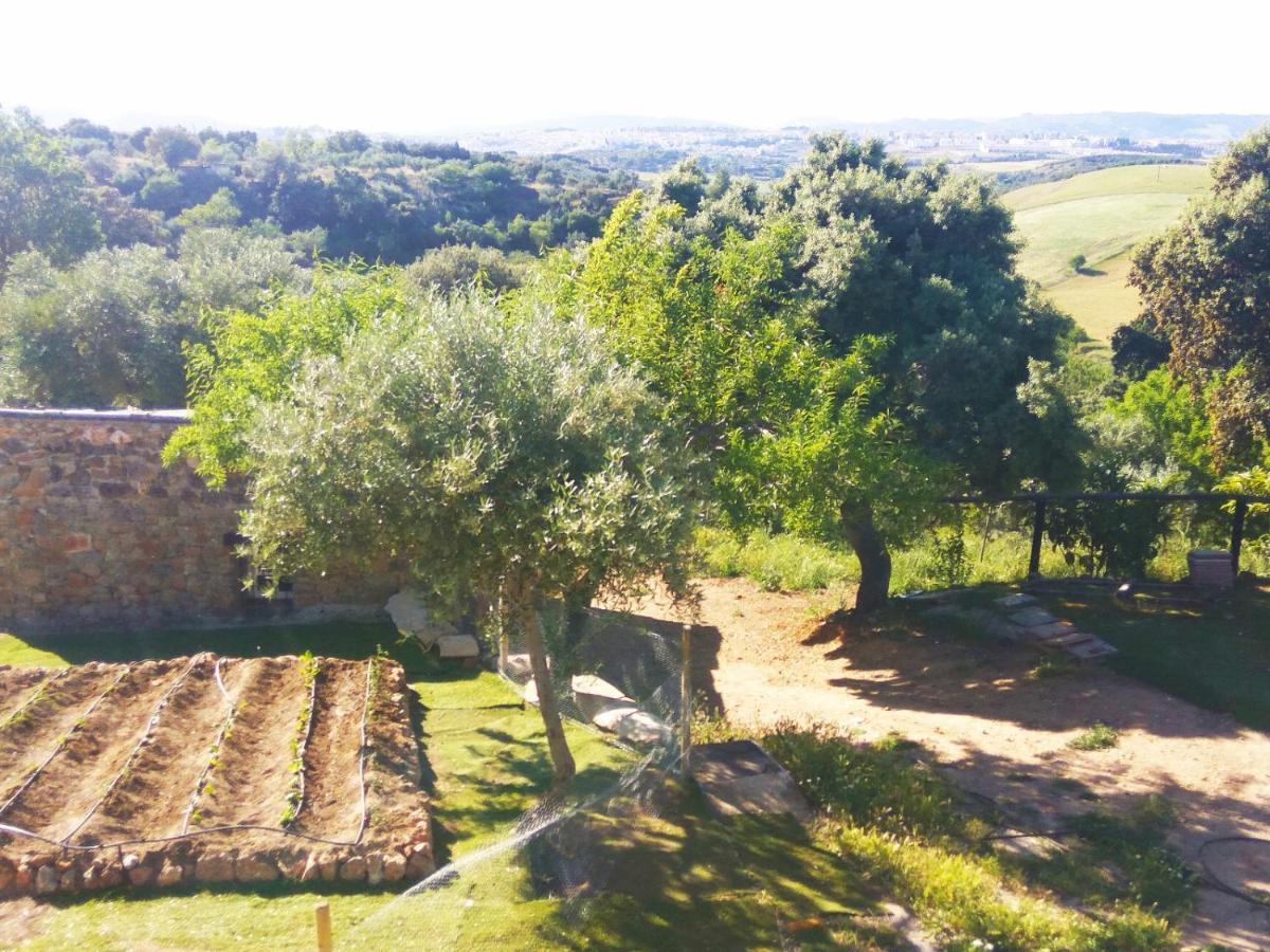 Casa Rural Bellavista Ronda Exteriör bild