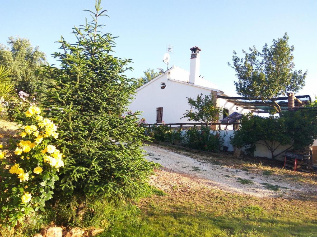 Casa Rural Bellavista Ronda Exteriör bild